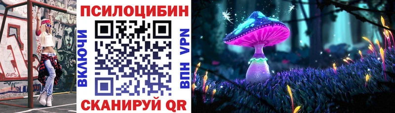 Псилоцибиновые грибы Psilocybine cubensis  купить закладку  Заволжье 